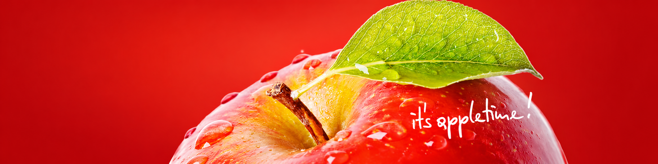 Schlossberginstitut Apfel Its appletime